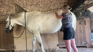 127K views · 614 reactions | TH and PC points.mp4 | Matt Williams | Facebook