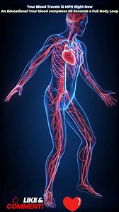 #BloodFlow #HumanBody #ScienceFacts #educationalvideo