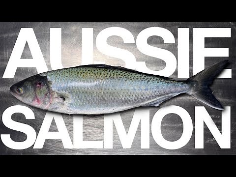 Cooking Australia’s Most Underrated Fish