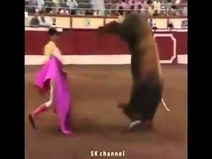Matador vs bull (must be see)