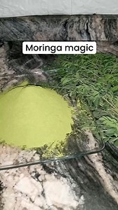 Taking moringa leaf extract means having loads of minerals and vitamins from one source... Pls, do not consume moringa extract when you have low blood pressure. #naturalfood #nature #viral #instagram #foryou #nigeria #explore | Natural foods
