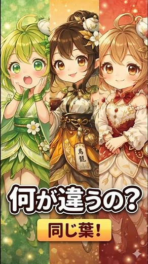緑茶・紅茶・烏龍茶の違い知ってる？実は全部同じ葉🍃 #雑学