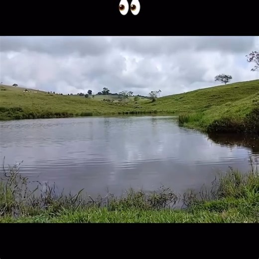 Curiosidades_Fantasticas on Instagram: "PT: Pescador é a pessoa que captura peixes e outros organismos aquáticos para alimento, renda ou subsistência, usando técnicas que variam do artesanal ao industrial. Do ponto de vista prático, o trabalho exige leitura de ambiente (marés, correnteza, vento, temperatura), escolha de apetrechos (rede, linha, anzol, armadilha) e domínio de tempo e logística, porque o produto é perecível e a janela de captura é limitada. Em pesca artesanal, conhecimento local e