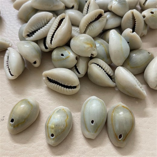 Natural Cowrie Shell Beads for Jewelry Making - Etsy