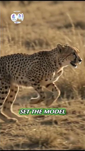 How to Create National Geographic Style Videos with AI! 🎥🦎 #shorts