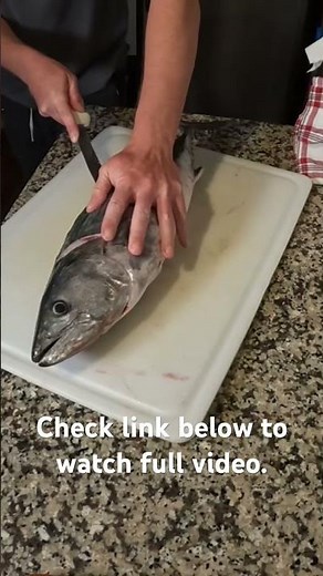 How to fillet Atlantic Bonito.🐟🐟🔪🍣
