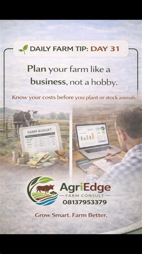 Planning your farm like a business means treating every activity with clear goals, budgeting, and profit in mind rather than operating by trial and error. When you know your costs for seeds, feed, labor, medications, and other inputs before you plant crops or stock animals, you can set proper prices, avoid losses, and make smarter decisions. This approach helps farmers grow sustainably, manage risks better, and turn farming into a reliable source of income instead of uncertainty. #AgriEdgeFarmCo