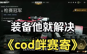 【必解决】cod19点击武器就退出游戏界面私人多人模式都一样/0x00001338(0)N错误代码