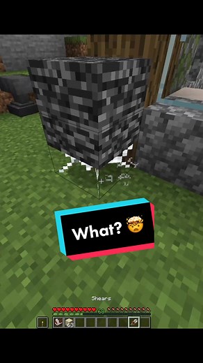 Unlock Any Block in Minecraft Survival!