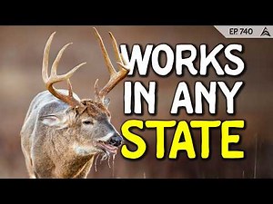 The Best Rut Hunt Strategy for ANY State | Zach White & Kaiden Gray