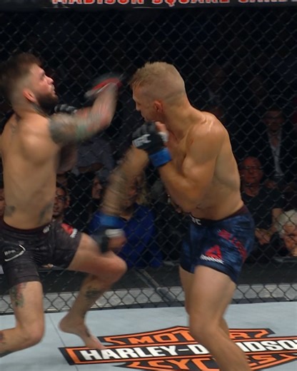 Stopping winstreaks in their tracks 👊 Go Top 5 on these streak stoppers before #UFC280 #InAbuDhabi | Abu Dhabi Calendar | Visit Abu Dhabi | UFC