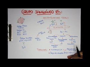 Grupo Sanguíneo Rh - Eritroblastosis Fetal