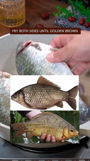 9.2M views · 49K reactions | Easy and quick fish soup recipe in China, do you want to try #recipe #fishsoup #chinesefood #cooking #reels | Street Food The World | Facebook