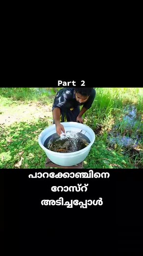 ‏Lobster Roast Making | പാറക്കോഞ്ചിനെ റോസ്റ് അടിച്ചപ്പോൾ | M4 TECH |