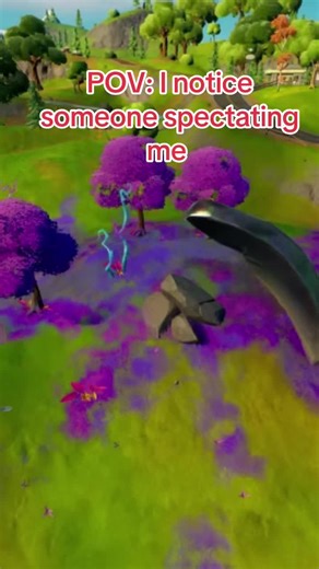 Fortnite Emotes: Funny Moments During Spectating