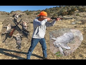 Hunting For Unprotected Rabbits in Nevada 2019 - Jackrabbit Hunt With a Henry Lever Action 22 Lr