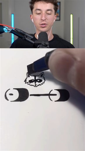 How To Draw Raccoon | Austin Boller