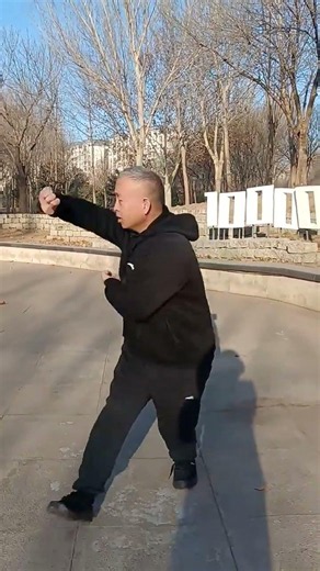 形意拳-十二形-鼍形 Xing Yi Quan 12 animals 鼍龙 (鼉龍) tuó lóng(Turtle-dragon, Crocodile) #kungfu #martialarts