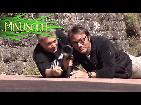 Minuscule Valley Of The Lost Ants - 2CV (Making Of)