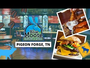 Blue Moose Burgers & Wings Review: Best Wings In The Smoky Mountains?