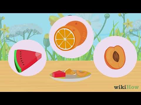 How to Feed Butterflies