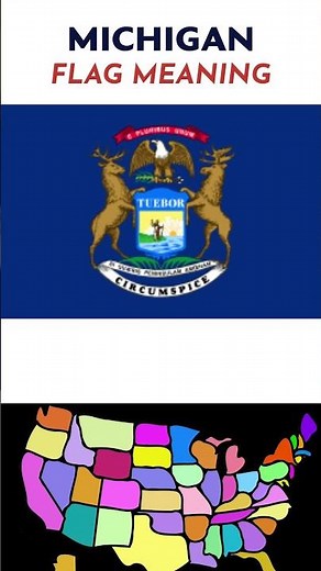Michigan State Flag and Meaning #shortsfeed #history #facts #michigan #usa