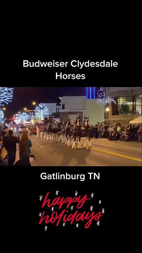 Gatlinburg Christmas Parade featuring Budweiser Clydesdales