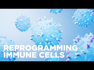 Reprogramming Immune Cells To Fight Cancer (Emma Teixeiro, PhD)