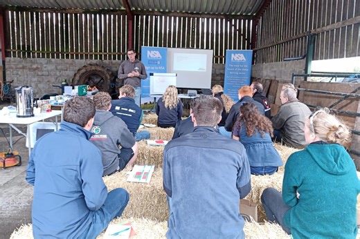 NSA Next Generation programme delivers practical training for aspiring sheep farmers