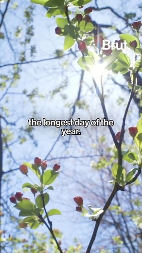 41K views · 494 reactions | While Ari Aster’s cult classic film “Midsommar” takes a dark turn, the real Swedish holiday is anything but. It’s a joyful celebration of sunshine, nature, and abundance, happening this Saturday, June 21. #AriAster #Midsommar #a24 #sweden #summersolstice #sunnydays #celebration #summertime #summerparty | Brut | Facebook