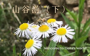 【Elena.Vlog】山谷游（下）拖更了一年之久的游记下篇，农村、农家饭、乡村景色、方言、治愈的音乐，一起分享吧～