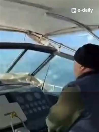 Μια πράξη ανθρωπιάς που έγινε σύμβολο ευθύνης και προσφοράς. Ο καπετάνιος Δημήτρης Διολέττας βραβεύτηκε από τον Περιφερειάρχη Θεσσαλίας Δημήτρης Κουρέτας, για τη μεταφορά 3χρονου παιδιού από τη Σκιάθος στον Βόλος, εν μέσω θαλασσοταραχής, προκειμένου να λάβει άμεση ιατρική φροντίδα. Η διακομιδή πραγματοποιήθηκε υπό δύσκολες καιρικές συνθήκες, με τον ίδιο να δηλώνει πως «δεν το εξετάσαμε πριν ξεκινήσουμε. Το παιδί έπρεπε να σωθεί». Από το 2008 βρίσκεται σε επιφυλακή 24 ώρες το 24ωρο, πραγματοποιών