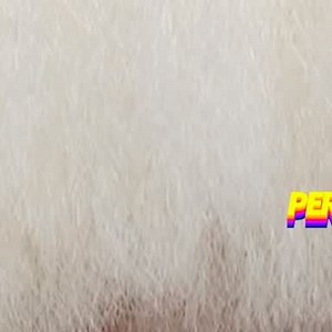 Period. on Instagram: "✨ Cachée par une immense perruque, elle a été révélée au monde avec la chanson « Titanium ». Parolière de génie, elle a écrit plusieurs tubes pour d'autres artistes, comme « Diamonds » pour Rihanna. Sa musique aborde des thèmes parfois très durs comme la dépression ou l'addicition 💙 C'est Sia 🔥 #period #periodstudio #Sia #titanium #pop #musique"