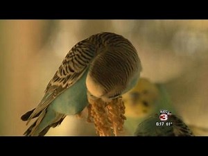 Zoosiana allowing guests to interact with animals