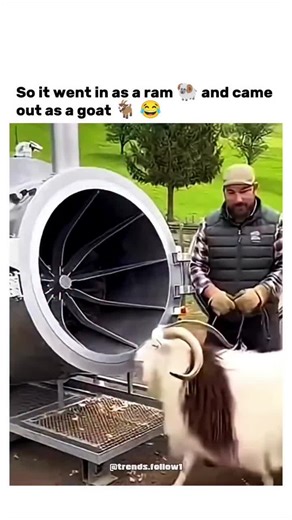 Explore the Magic of Smart Bots and AI Trends