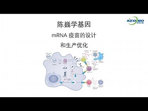 【陈巍学基因】第96期：mRNA 疫苗的设计和生产优化