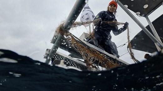 Saving marine life with every dive
