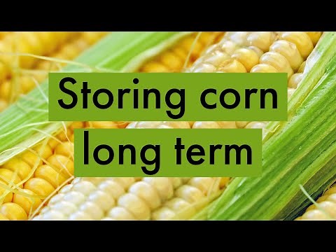 How to Store Corn [Preparedness Unit #5]