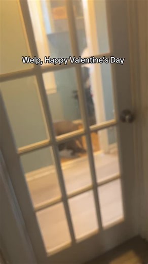 Valentine's Day Privacy Humor