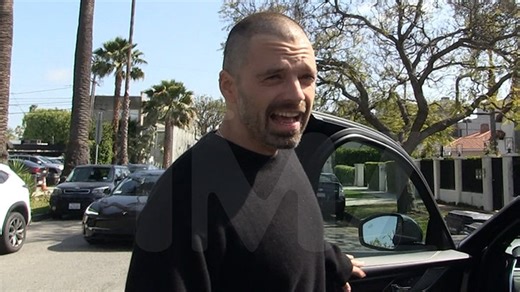 Sebastian Stan Says He Shaved Head for Role, Not Midlife Crisis