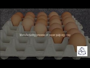 Manufacturing Process of Paper Pulp Egg Tray