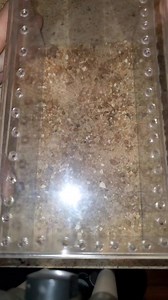 15K views · 147 reactions | 56_#weirdpets #bugs #spider #feedinganimals | Venom Man | Facebook