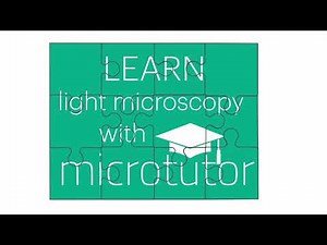 Microtutor: A new virtual light microscopy course
