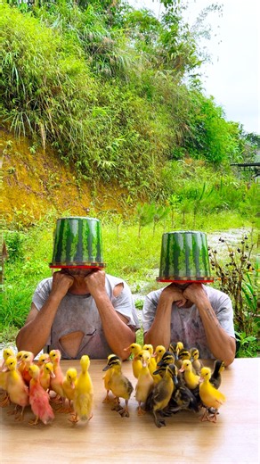 hai anh em trêu chọc nhau siêu dễ thương 🦆🍉🦆🍉🦆🍉🦆🍉🐰🍞🐰👩‍🌾👩‍🍳🧓👴 #shorts #cute #funny