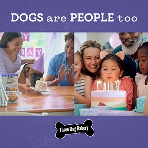 Dog parents, start your ovens. Bake up some home-made love from scratch for their big day with new Ultimate Celebration Cake Mix. Find it and other Three Dog Bakery treats at Walmart. Three Dog Bakery. Dogs Are People Too. | Three Dog Bakery