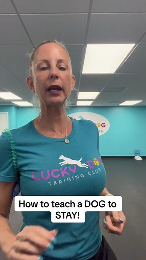 #dogobedience #fyp #dogtraining #doggo #goldenretrieverpuppy