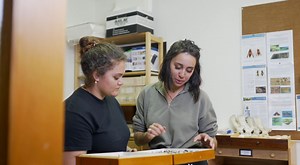 35 reactions | Looking to pursue a postgraduate qualification in...