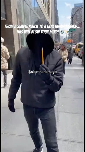 He Folded a Pencil… It Turned Into a REAL Hummingbird 😱✨ | Street Magic