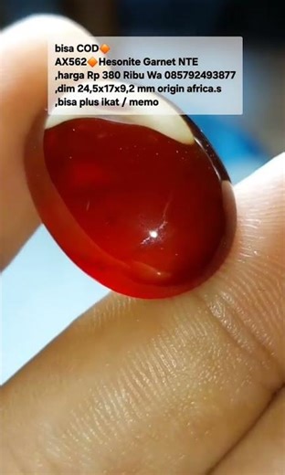 bisa COD🔶️AX562🔶️Hesonite Garnet NTE,harga Rp 380 Ribu Wa 085792493877,dim 24,5x17x9,2 mm origin