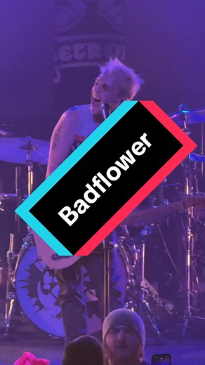 Badflower's Ghost: A Deep Dive